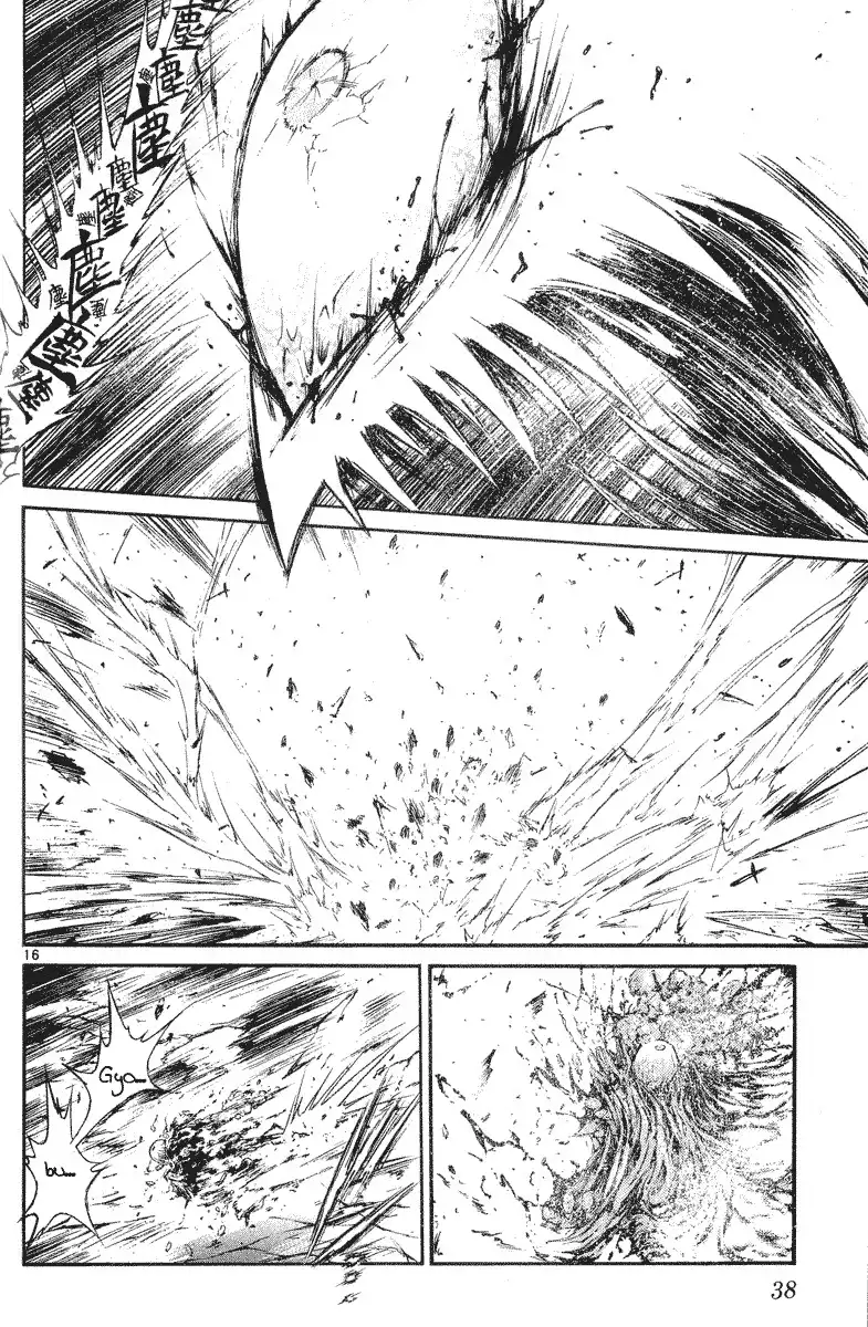 Flame of Recca Chapter 209 16